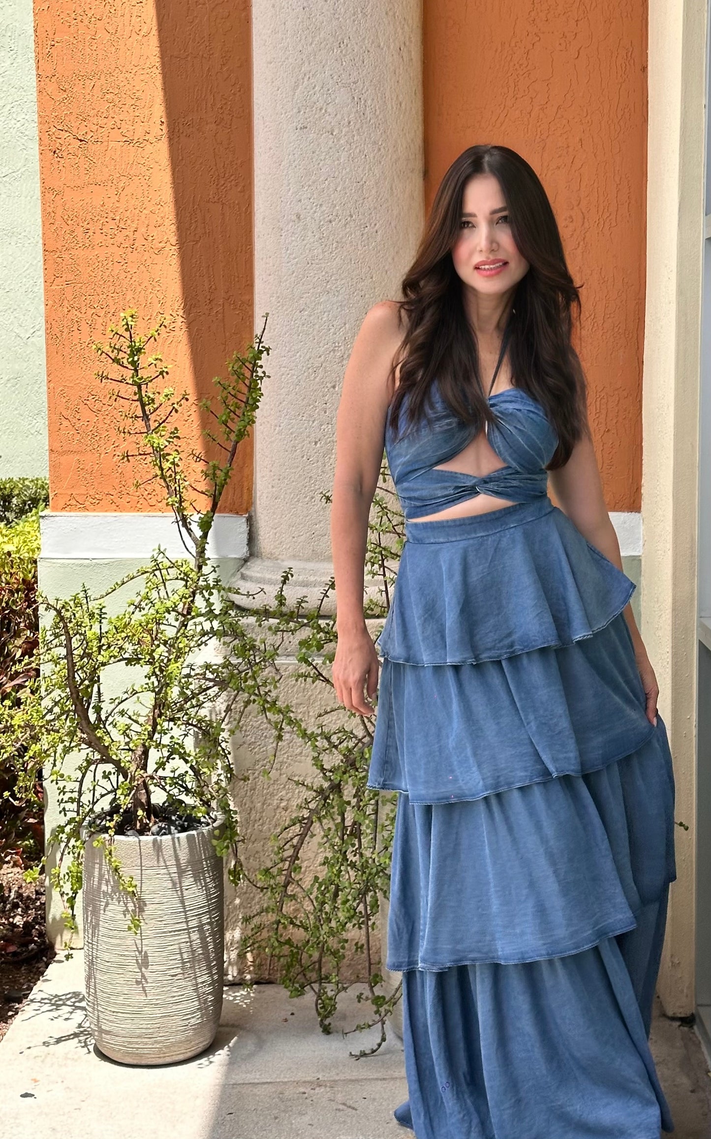 Vicky Dress