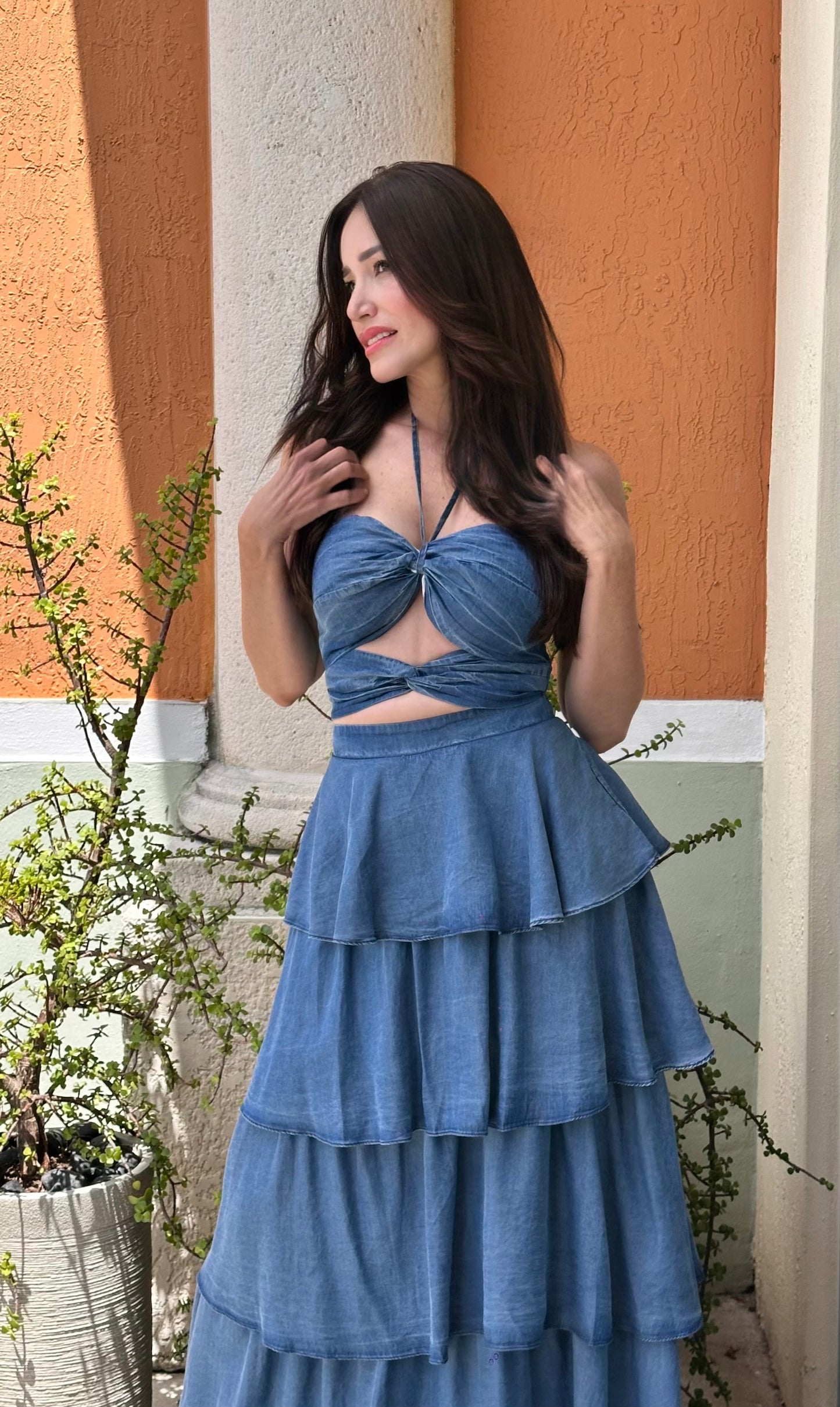 Vicky Dress